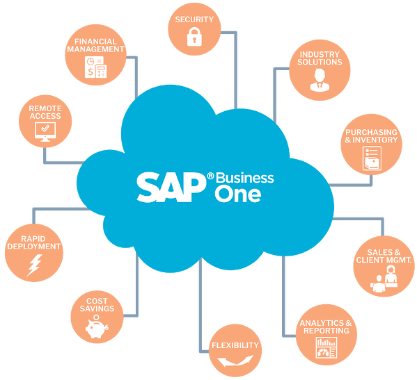 SAP Business One Features